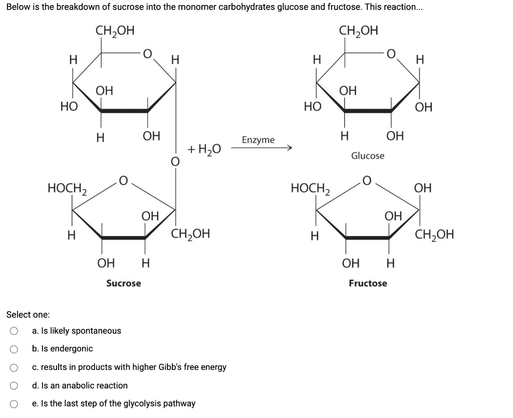 Solved Below is the breakdown of sucrose into the monomer | Chegg.com, image size:1024x835
