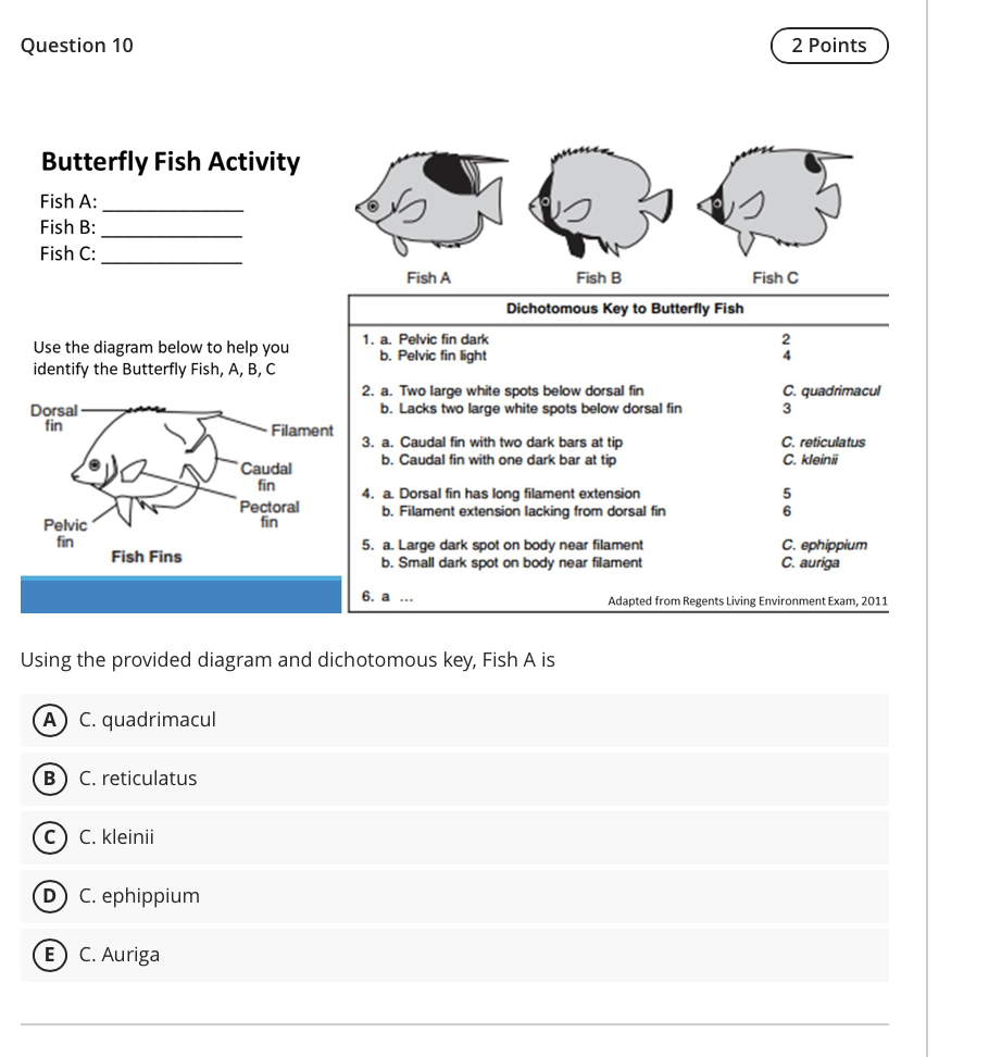 Solved Using the dichotomous key, Bird W is in the genus | Chegg.com