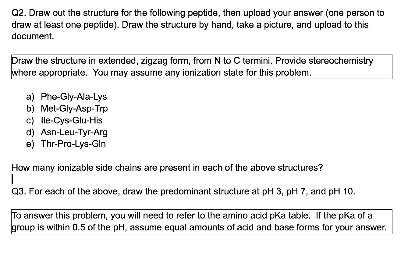 Solved Q2. Draw out the structure for the following peptide, | Chegg.com