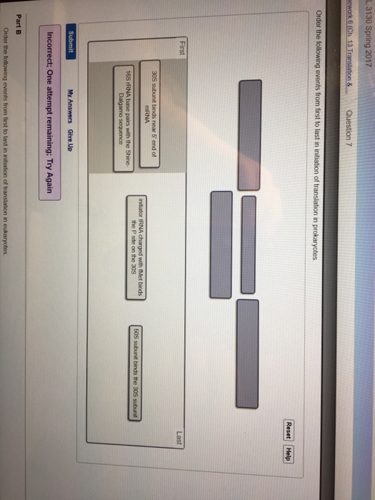 Solved Order the following events from first to last in