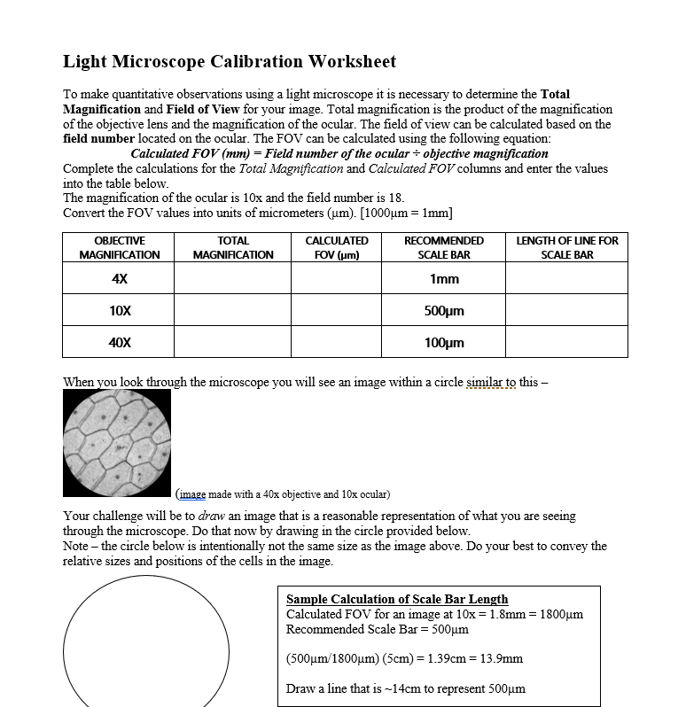 Solved Light Microscope Calibration Worksheet To make Chegg com