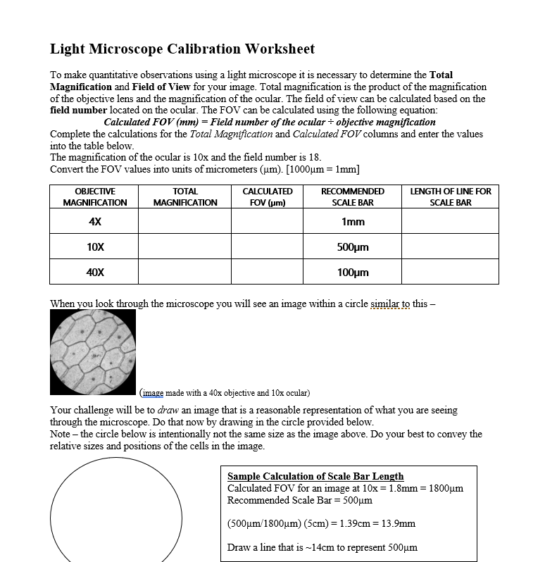 solved-light-microscope-calibration-worksheet-to-make-chegg