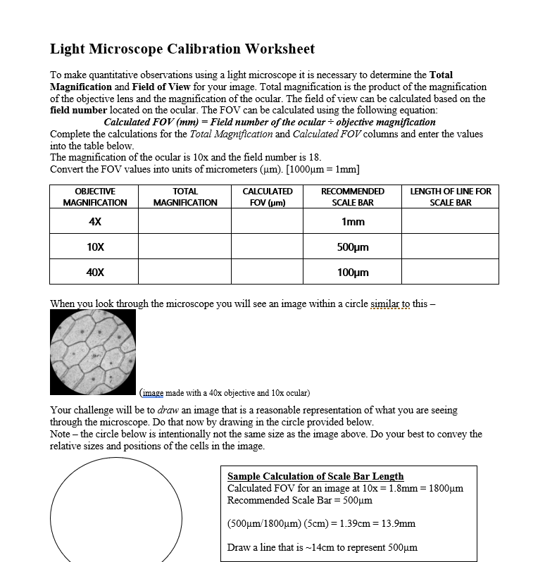 Solved Light Microscope Calibration Worksheet To make | Chegg.com