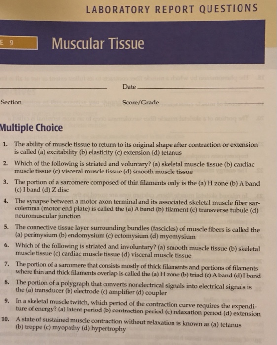 Solved LABORATORY REPORT QUESTIONS Muscular Tissue Date | Chegg.com