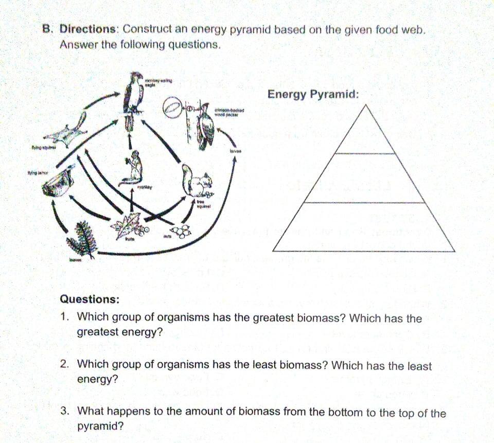 Solved Please help me construct an energy pyramid based on