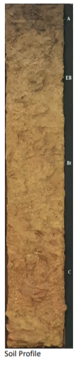 Solved The soil profile presents a vertical cross section of | Chegg.com
