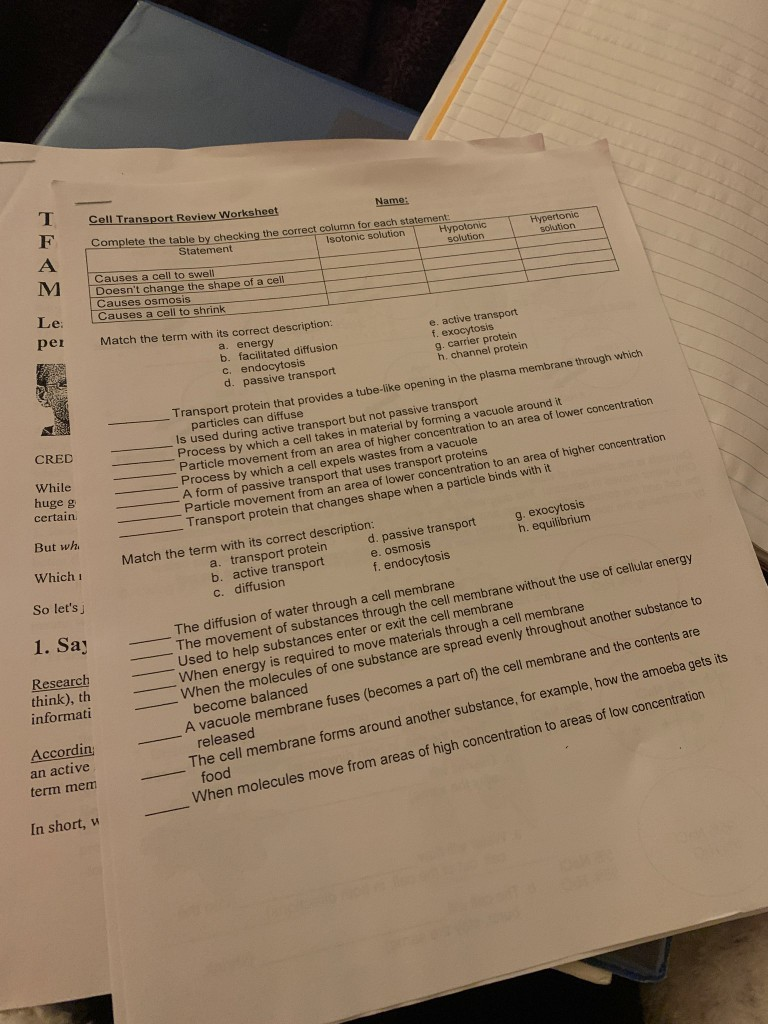 Hypertonic Schuition F Cell Transport Review  Chegg.com Within Cell Transport Review Worksheet Answers