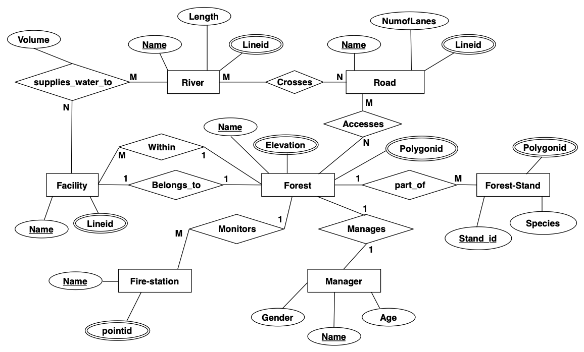 Solved Exercise: •List the entities, attributes, | Chegg.com