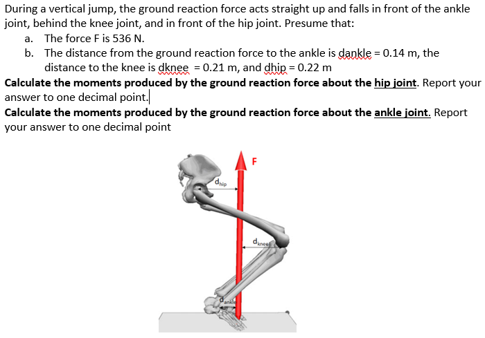 Solved During a vertical jump, the ground reaction force | Chegg.com