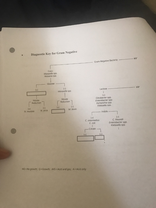 Solved Complete the diagnostic keys investigate | Chegg.com