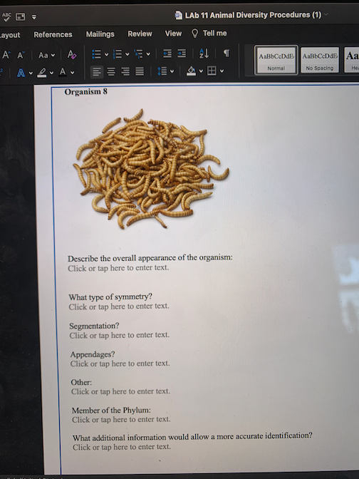 Solved LAb 11 Animal Diversity Procedures (1) ayout | Chegg.com