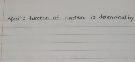 Solved Specific function of protein is determined by | Chegg.com