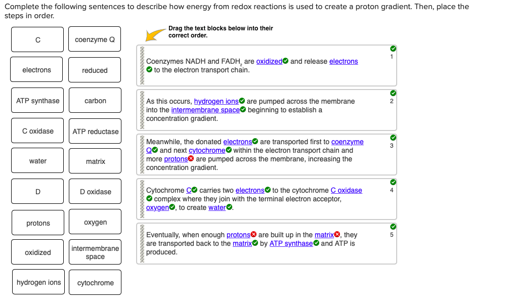 solved-complete-the-following-sentences-to-describe-how-chegg