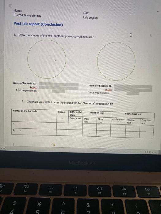 Solved In class report 12 steps for Identification of | Chegg.com