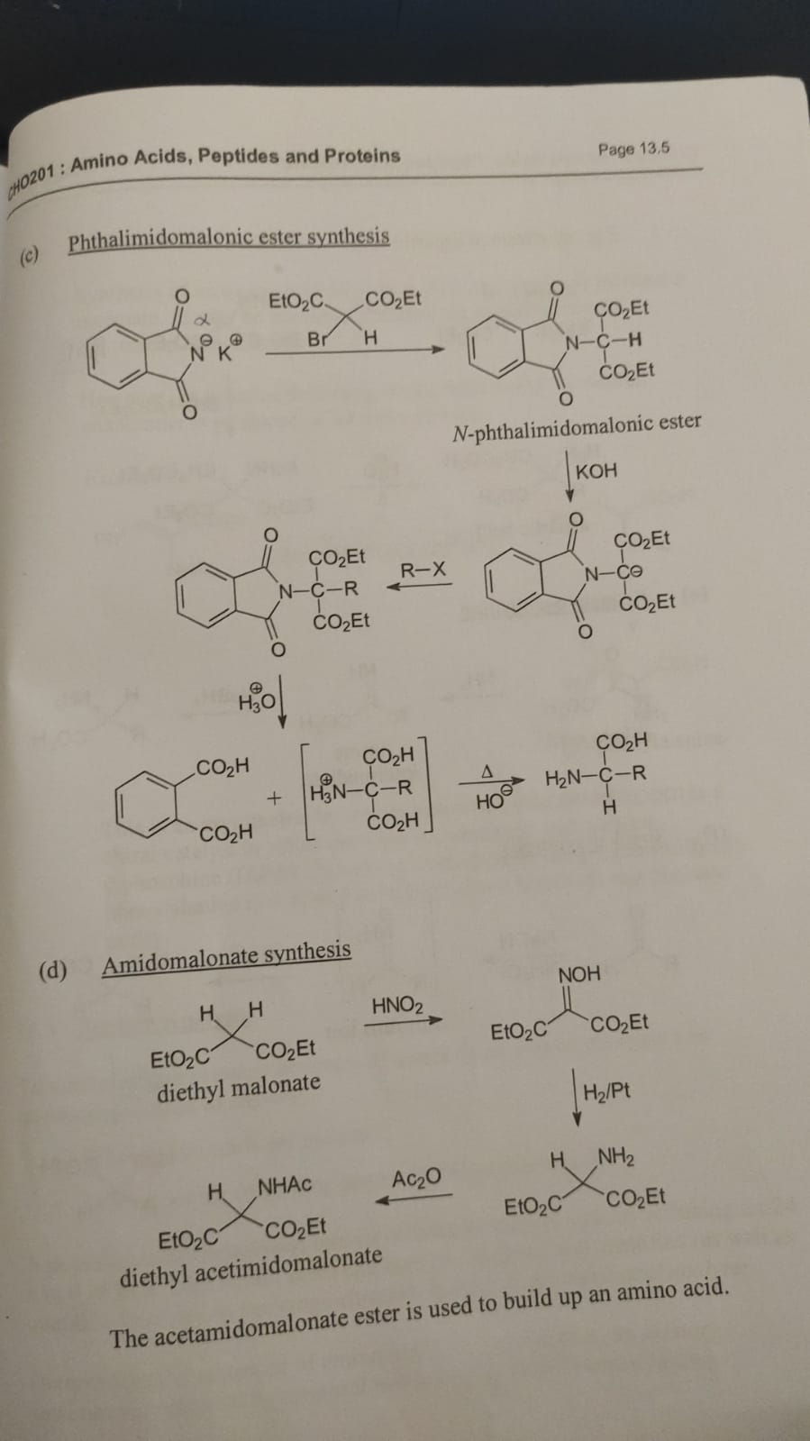 Solved Phthalimidomalonic ester synthesis | Chegg.com