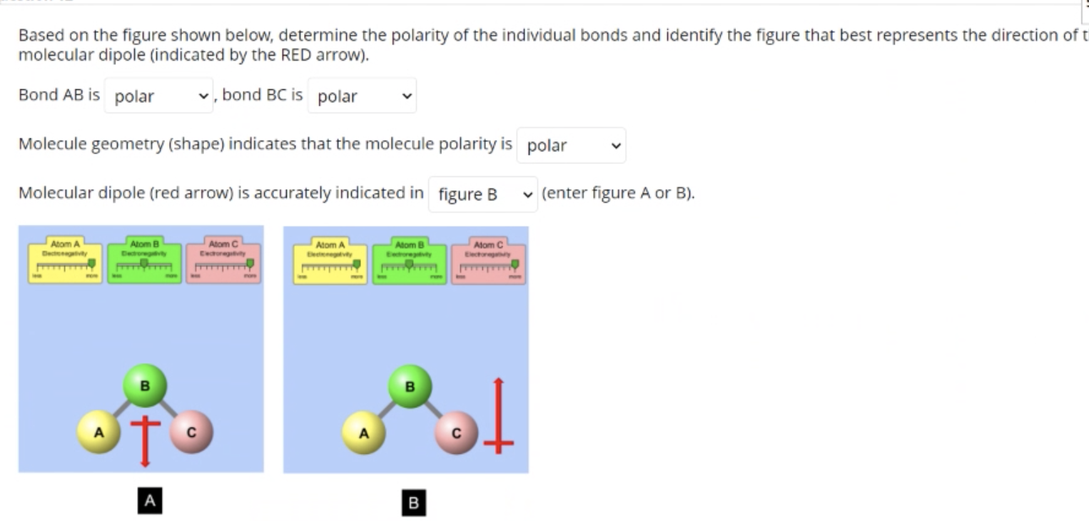 Solved Based on the figure shown below, determine the | Chegg.com
