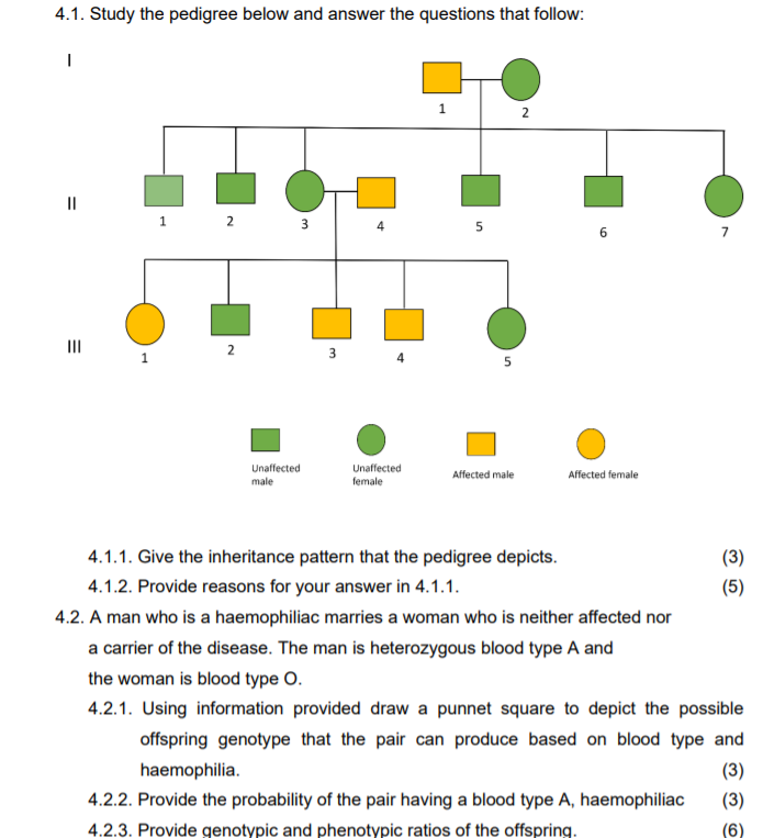Solved 4.1. Study the pedigree below and answer the | Chegg.com
