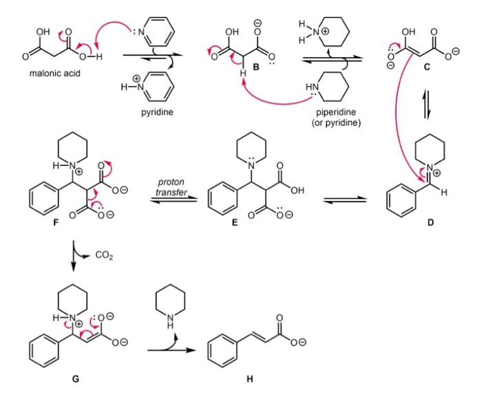 Solved OH O NO он о O-H malonic acid H-N HN pyridine | Chegg.com