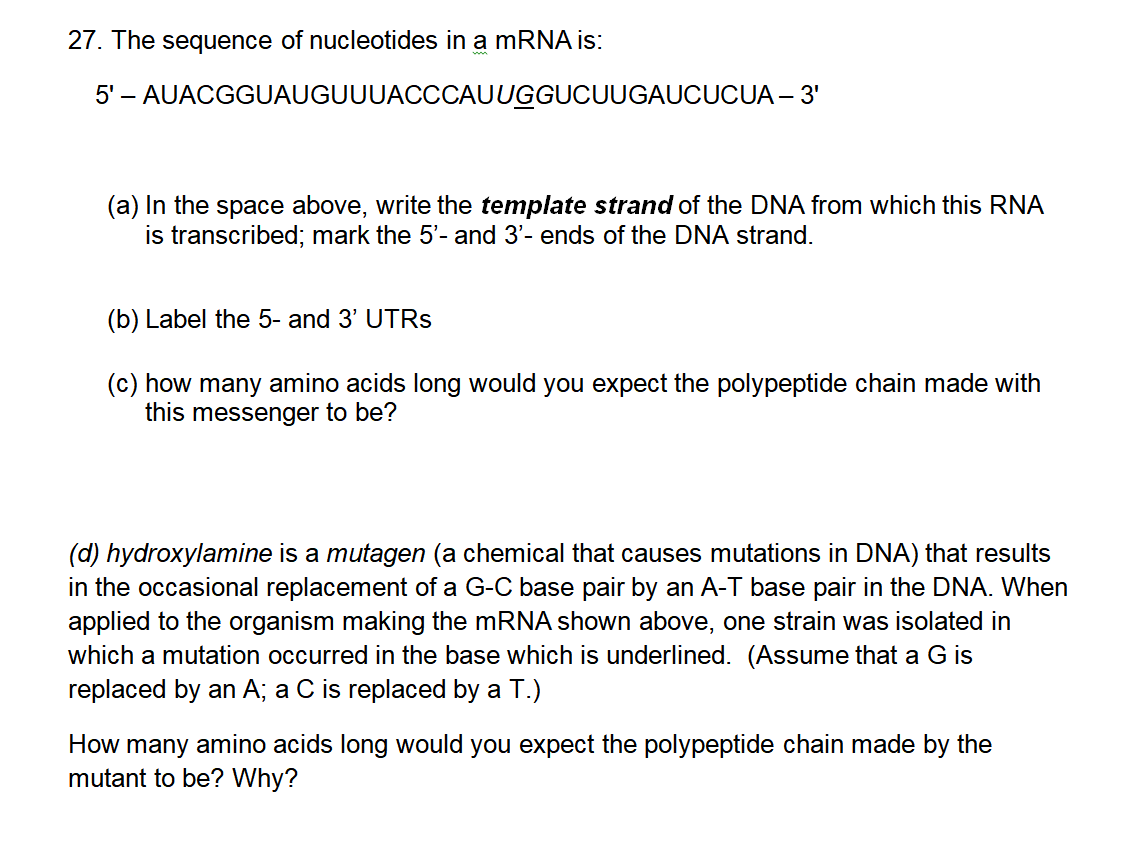 Solved 27. The sequence of nucleotides in a mRNA is: 5' – | Chegg.com