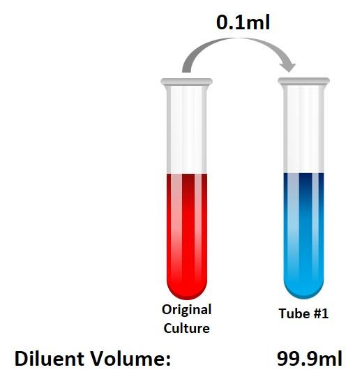 Solved If you transfer 0.1ml to a dilution tube containing