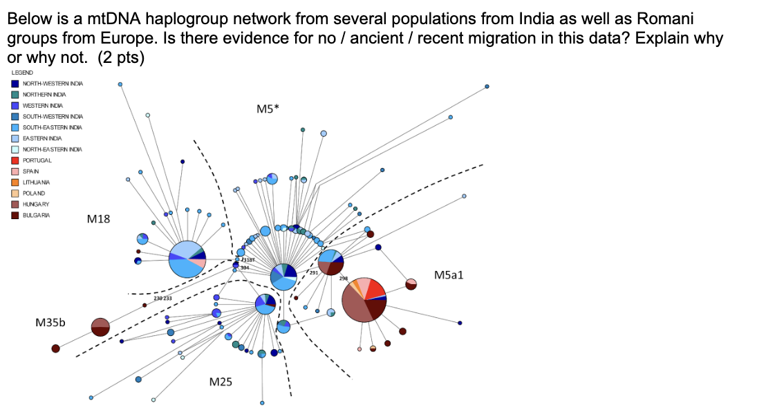 Below is a mtDNA haplogroup network from several