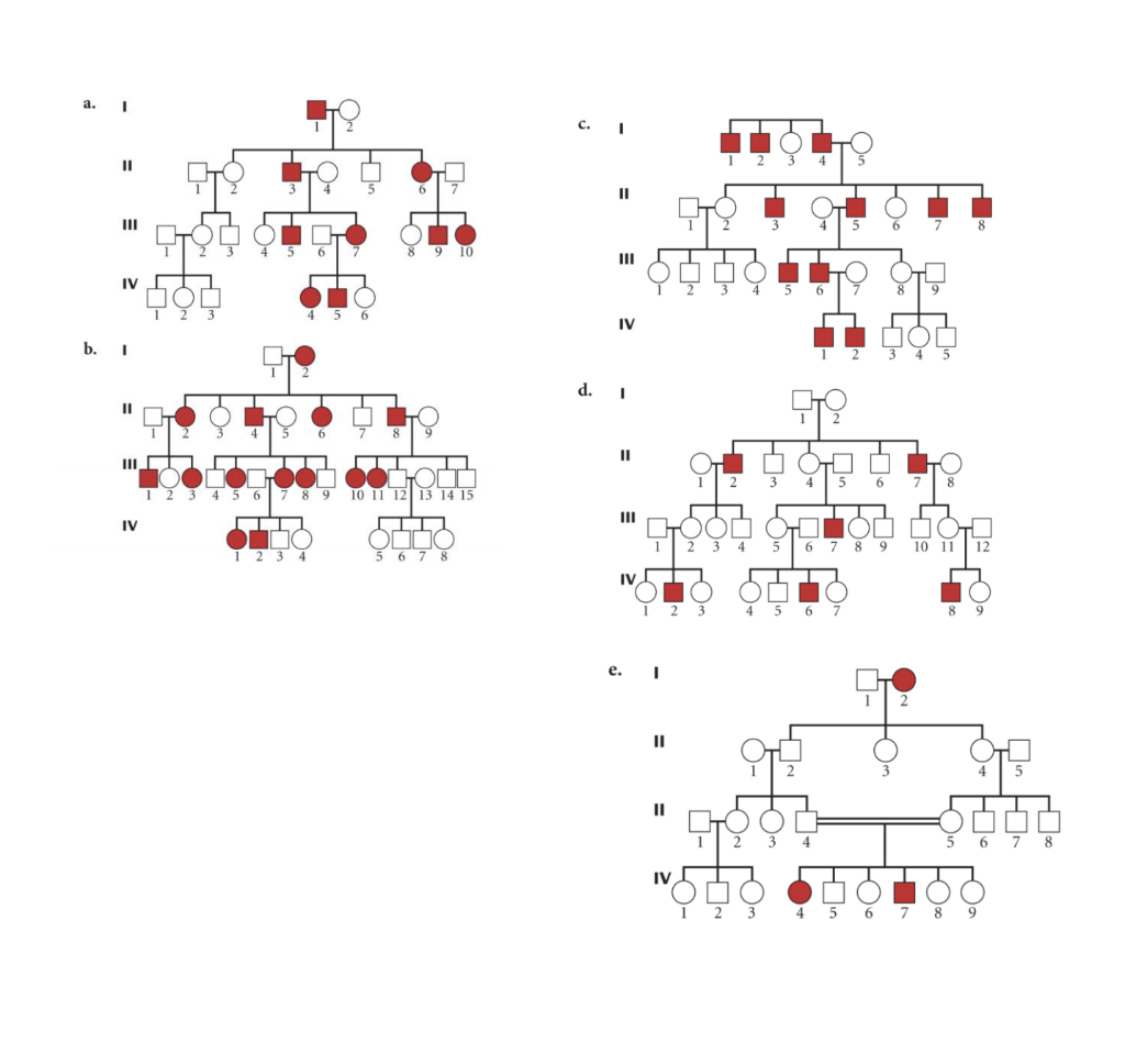 Solved A. Autosomal Recessive Trait B. Autosomal Dominant | Chegg.com