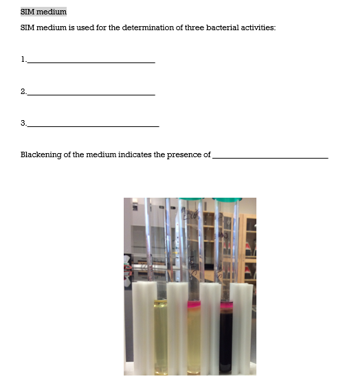 Solved Phenol Red Fermentation Broth (pr Broth) Pr Broth 