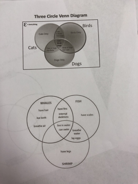 Differences Between Asteroids And Comets And Meteors Venn Di