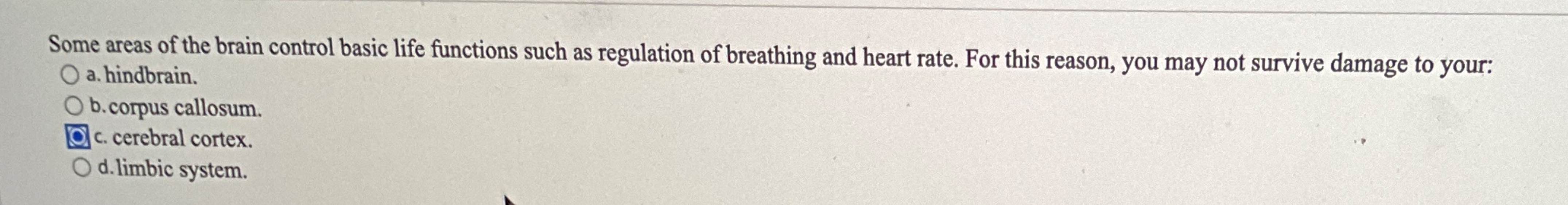 Solved Some areas of the brain control basic life functions | Chegg.com