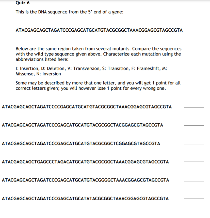 Solved Quiz 6 This is the DNA sequence from the 5' end of a | Chegg.com