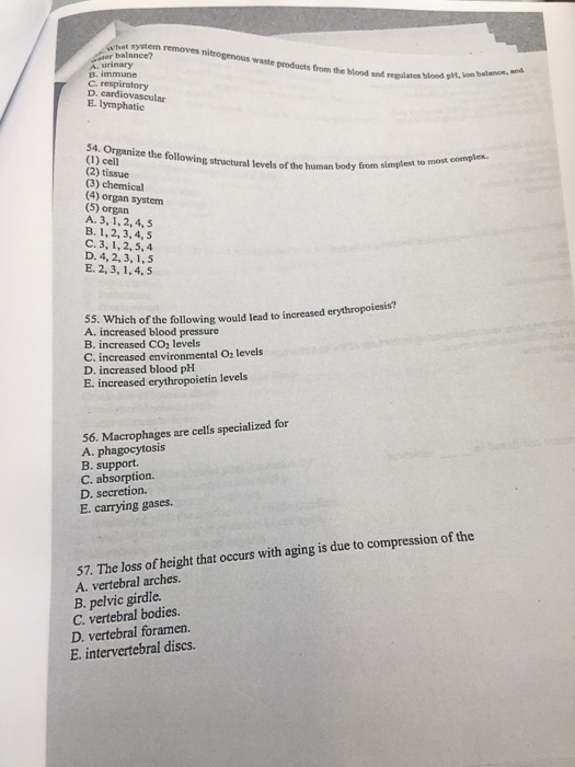 Solved: What System Removes Nitrogenous Waste Products Fro... | Chegg.com