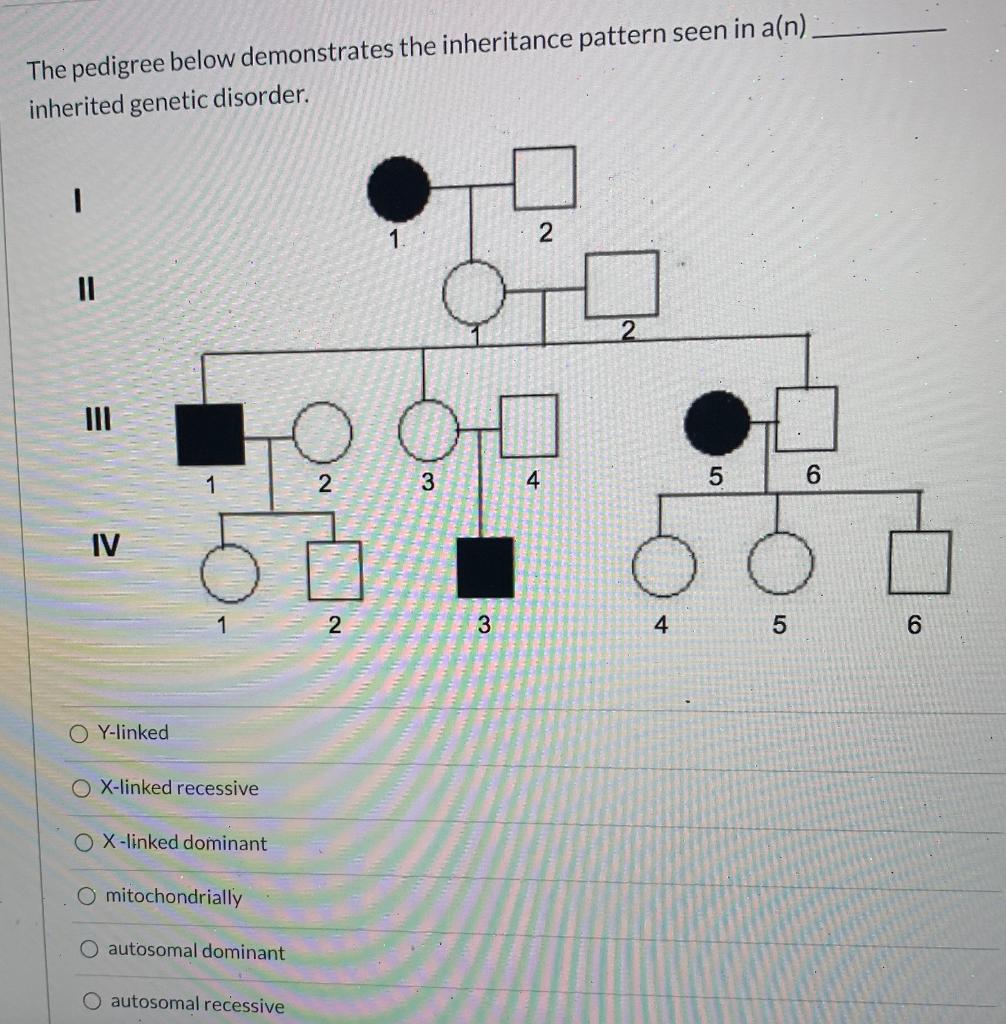 Solved Question 4 The pedigree below outlines the | Chegg.com