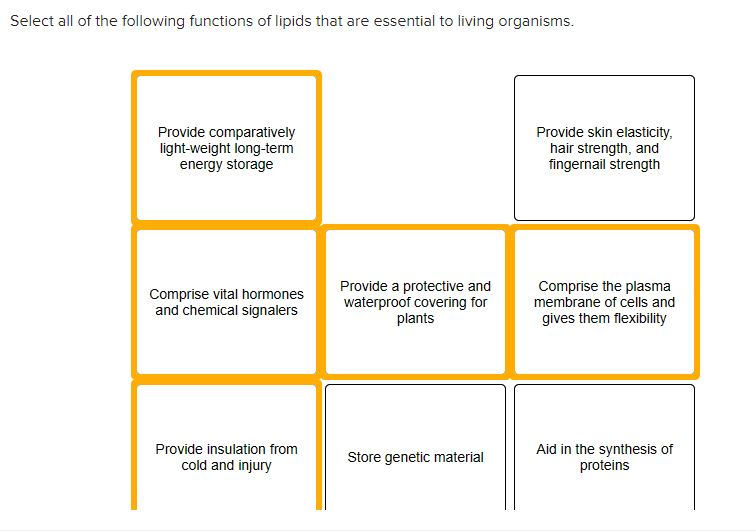 solved-select-all-of-the-following-functions-of-lipids-that-chegg