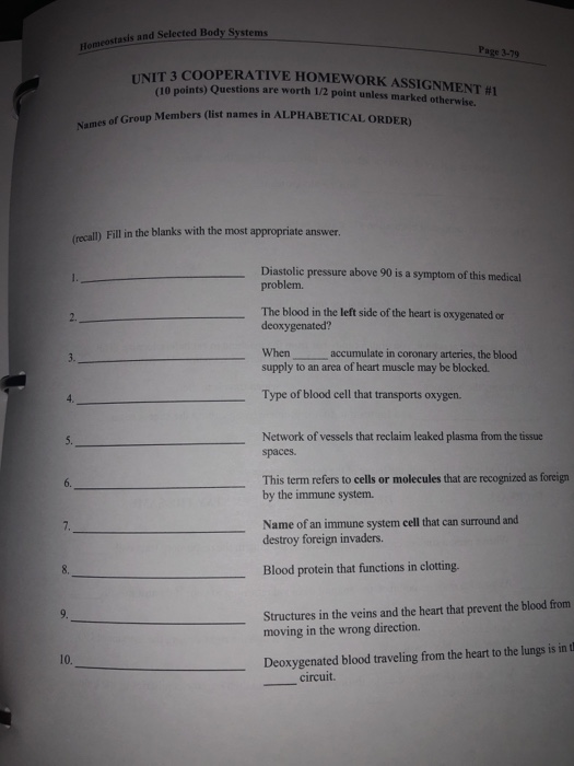 How to write an essay the introduction