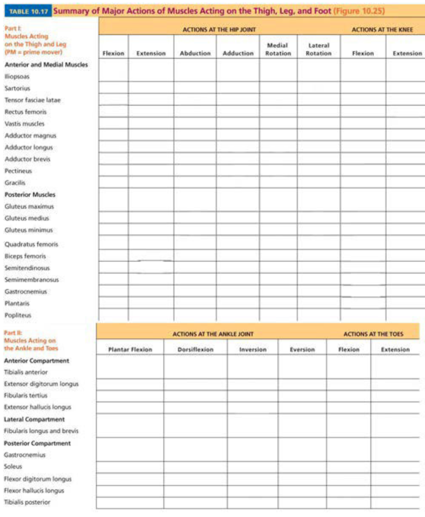 Solved Table 10.17 summary of major actions of muscles on | Chegg.com