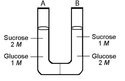 Bio Test 2 Flashcards Chegg Com