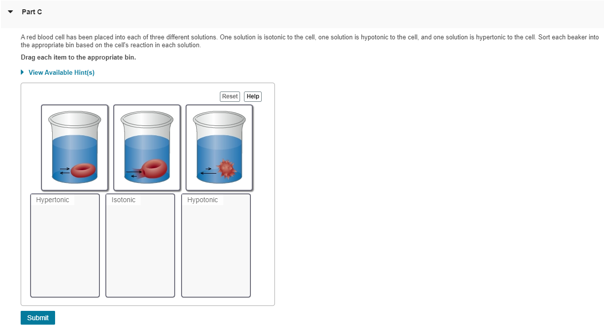 Solved A red blood cell has been placed into each of three | Chegg.com