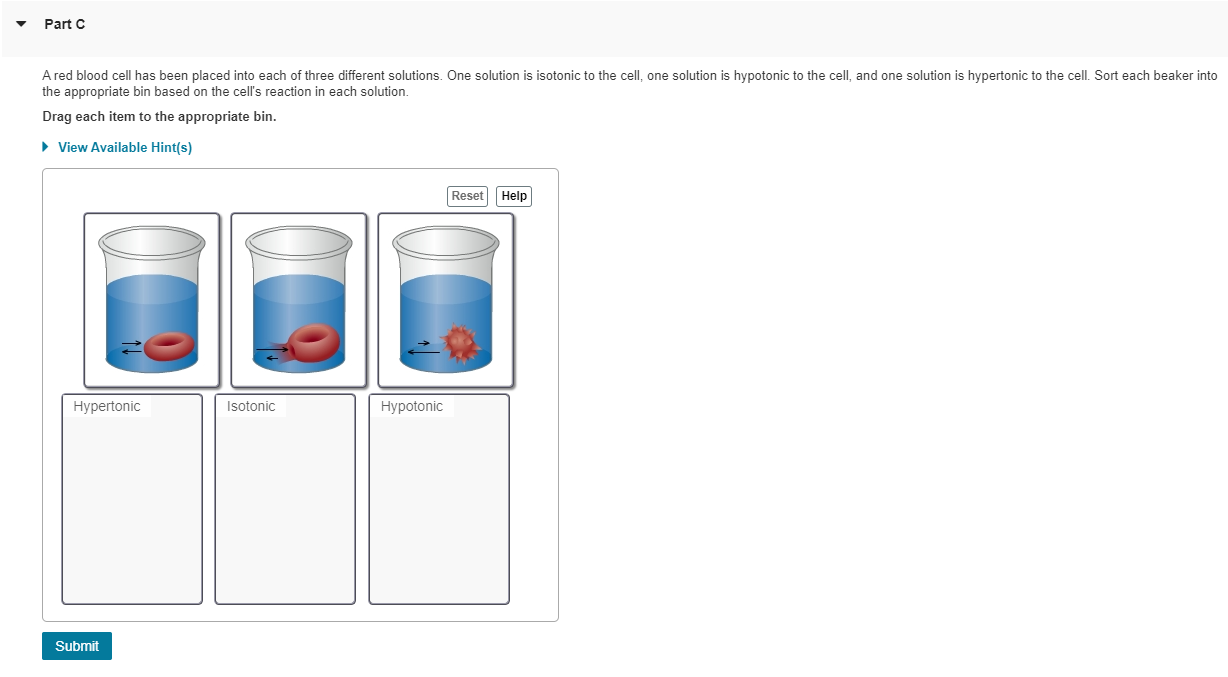 Solved A Red Blood Cell Has Been Placed Into Each Of Three | Chegg.com