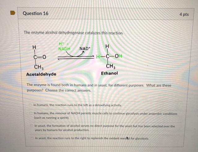 Solved The alcohol dehydrogenase reaction removes ethanol