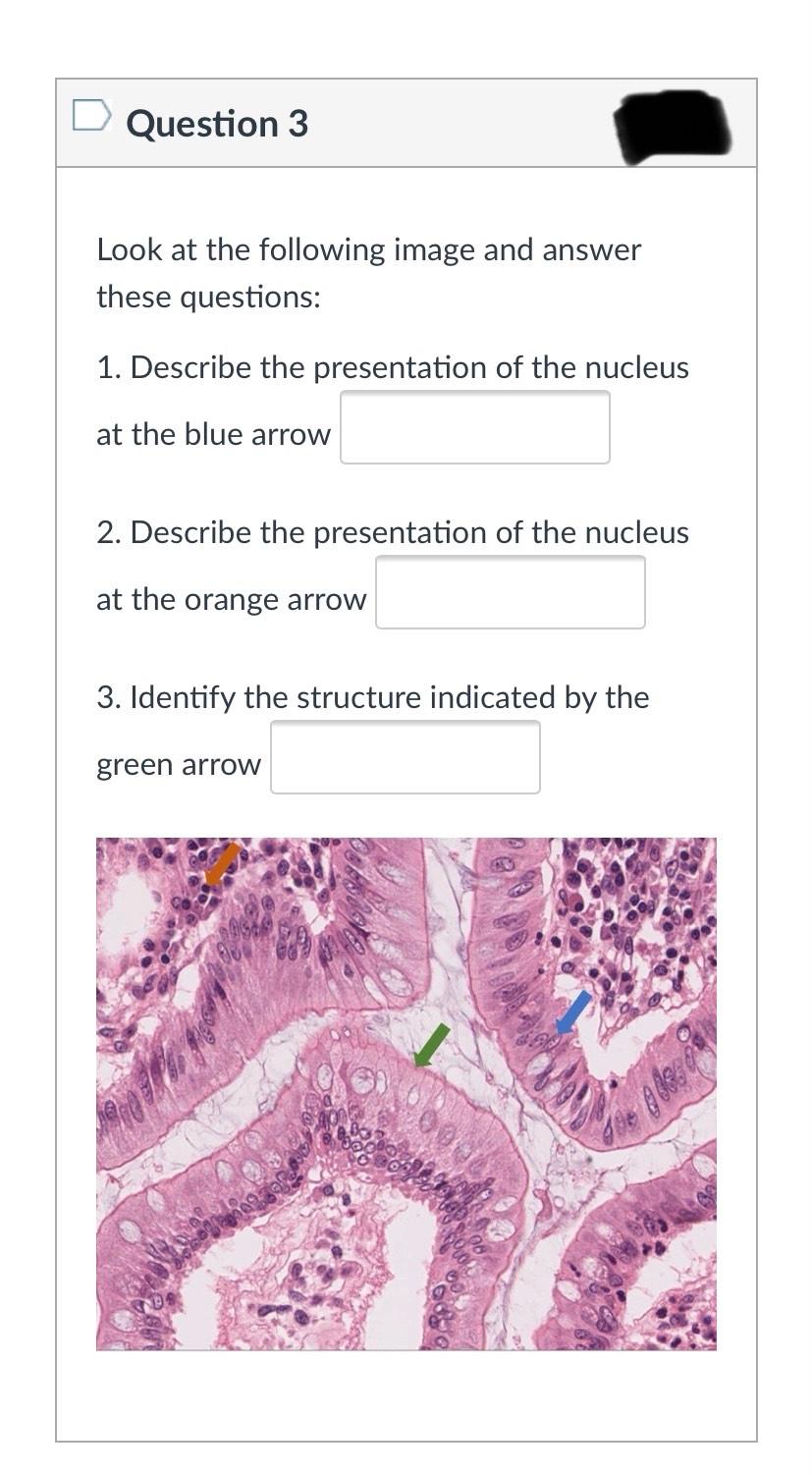 Solved Question 1 Look At The Following Image And Answer | Chegg.com