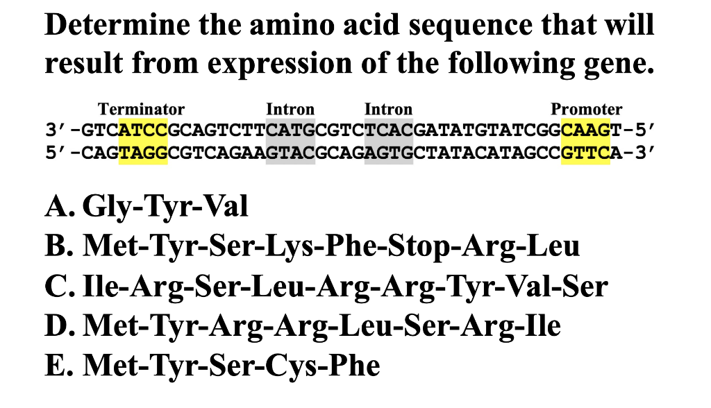 Solved Determine the amino acid sequence that will result | Chegg.com