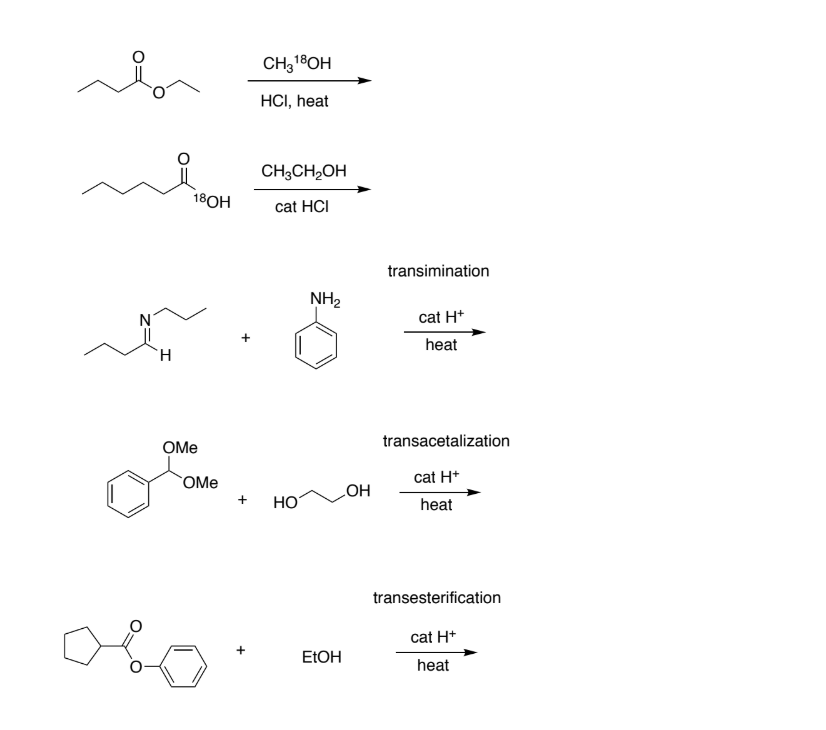 Solved CH318OH HCI, heat CH3CH2OH 18OH cat HCI | Chegg.com