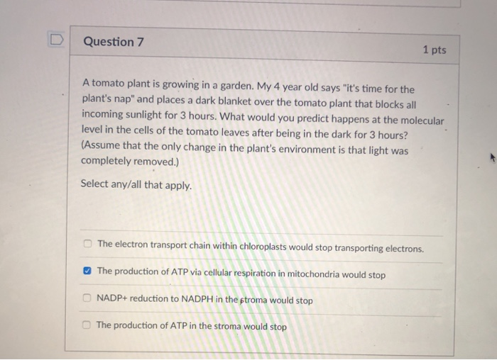 Solved 1 pts D Question 19 Which of the following key | Chegg.com