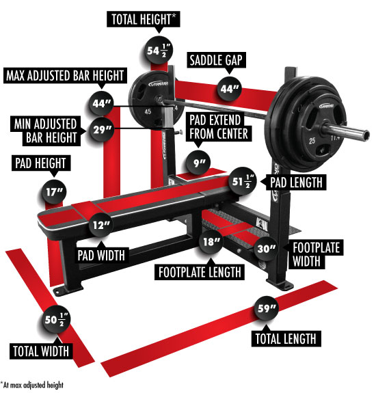 How Do You Count Weight on Dumbbell: Easy Tips for Accuracy