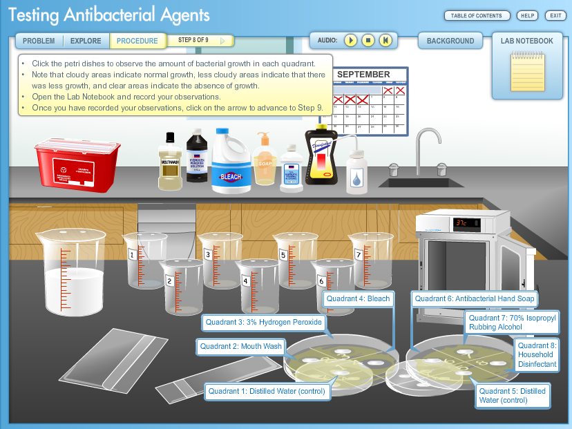 Solved Testing Antibacterial Agents PROBLEM EXPLORE | Chegg.com