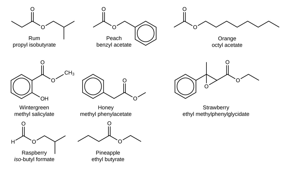 Solved Circle and label the functional groups | Chegg.com