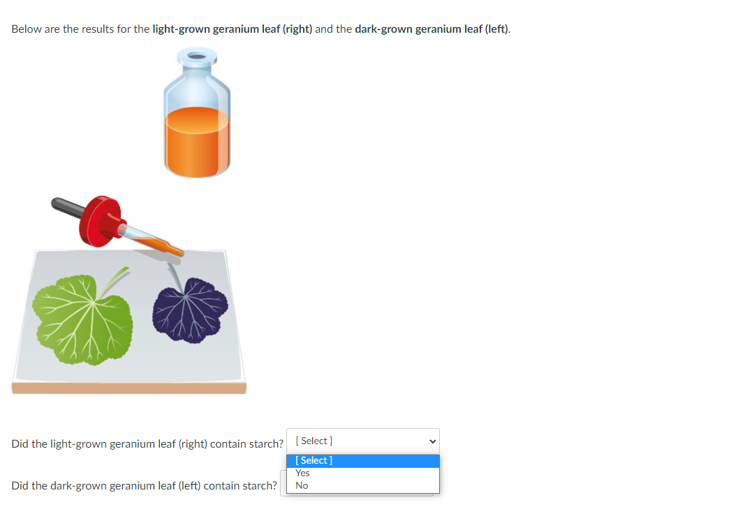 Solved In this experiment, we will test two plants for the | Chegg.com