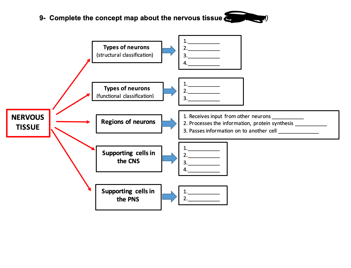 Nervous Tissue Concept Map Solved 9- Complete The Concept Map About The Nervous Tissue | Chegg.com