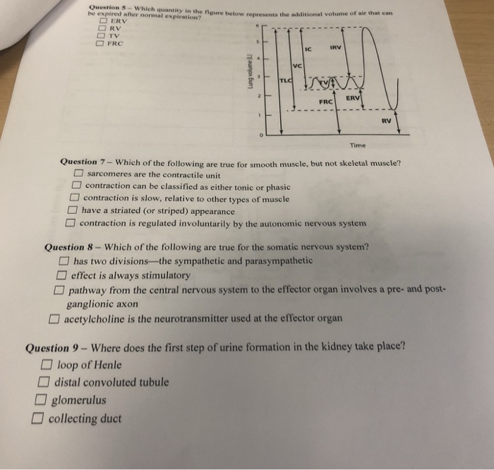 Solved Question SWhich quantity in the figure below be