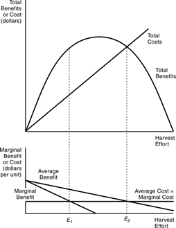 Solved The bison example. Explain the graph below. Focus on | Chegg.com